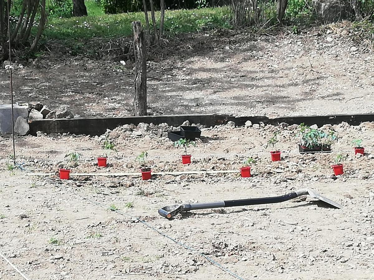 Hotel La Colline Des Hauts Bocages Vendeens Mouchamps Zewnętrze zdjęcie